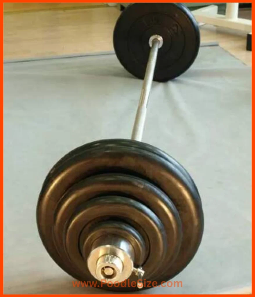 barbell-70-kg