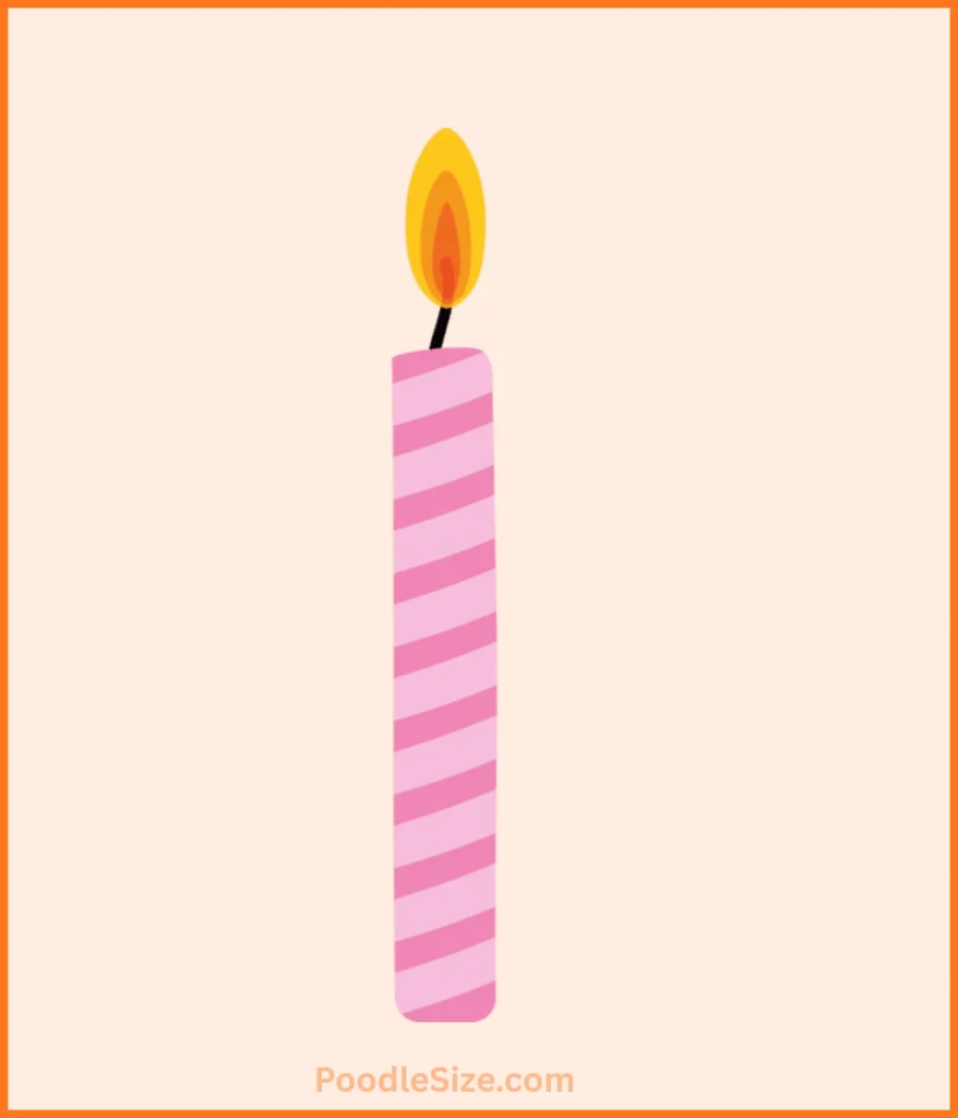 birthday-candle-1-gram