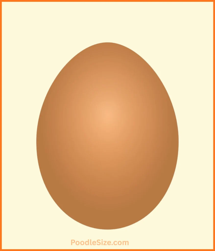 egg-300-grams