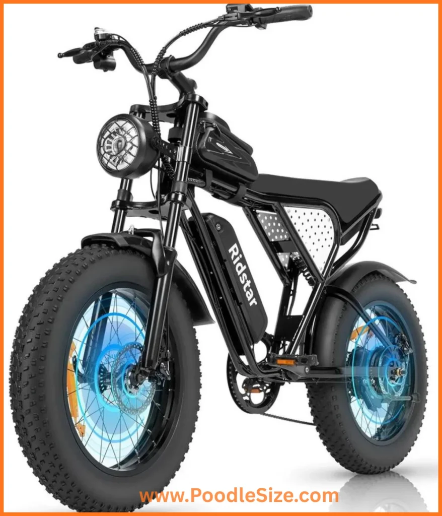 electric-bike-30-kg