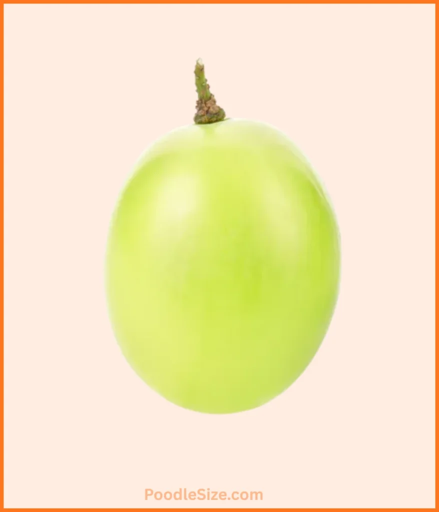 grape-1-gram
