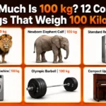 how-heavy-100-kg