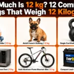 how-heavy-12-kg