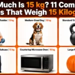 how-heavy-15-kg