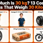 How Heavy Is 30 Kg ? Common Things & Everyday Examples – 2026 how-heavy-30-kg