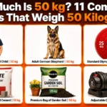 how-heavy-50-kg