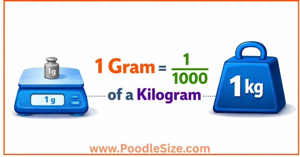 how-heavy-is-1-gram