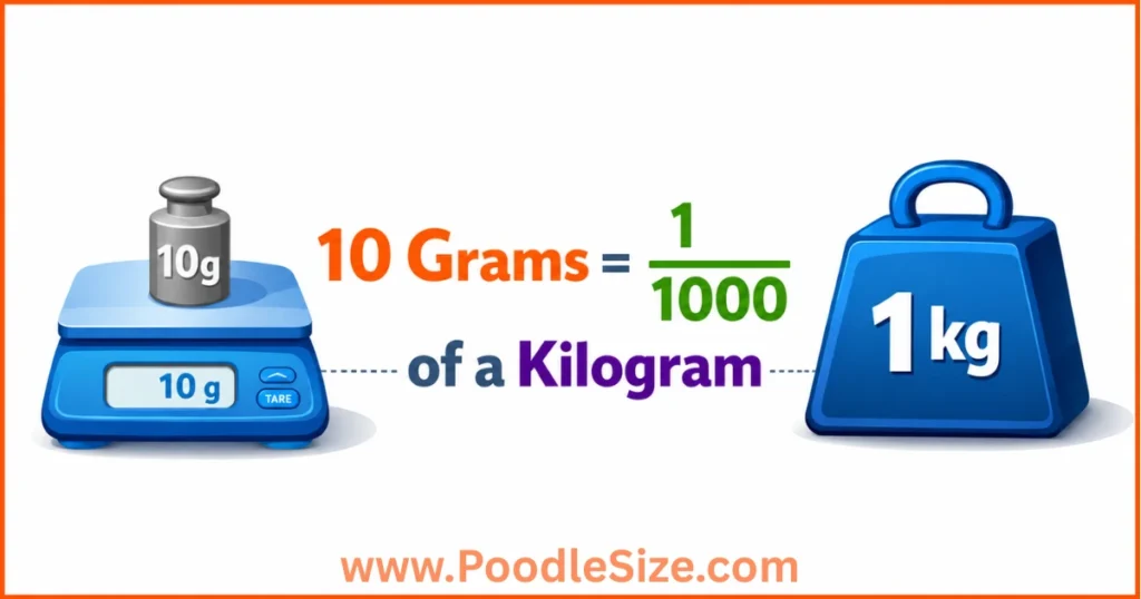 how-heavy-is-10-gram