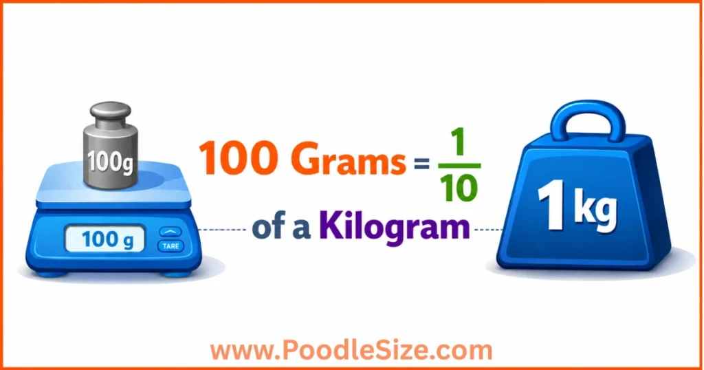 how-heavy-is-100-grams