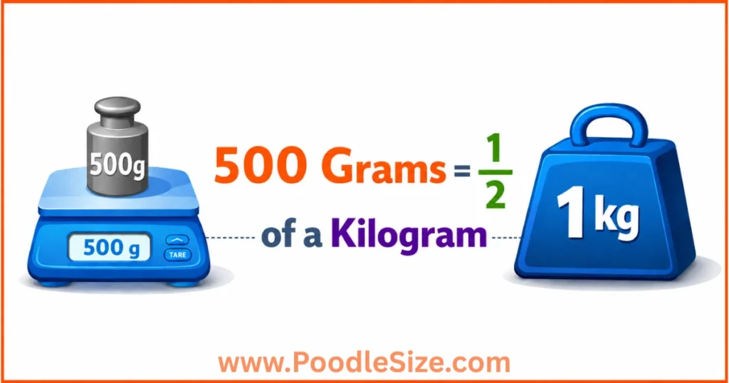 how-heavy-is-500-grams