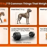 how-heavy-is-70-kg
