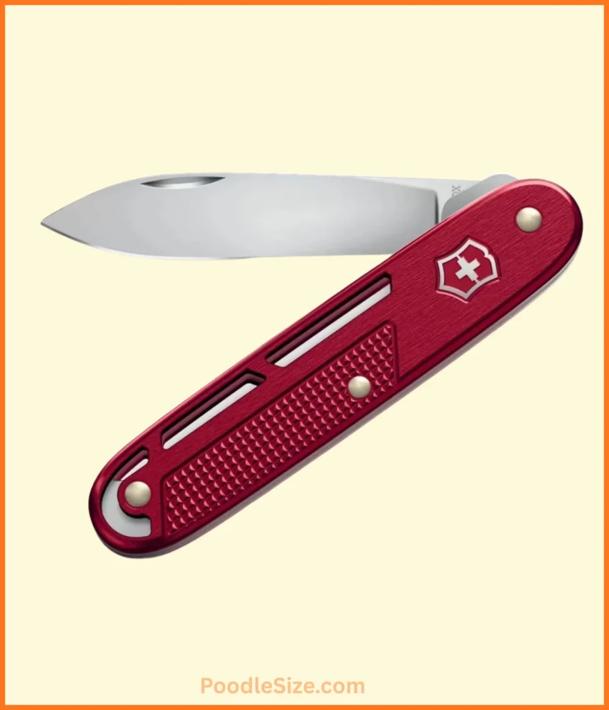 knife-100-grams