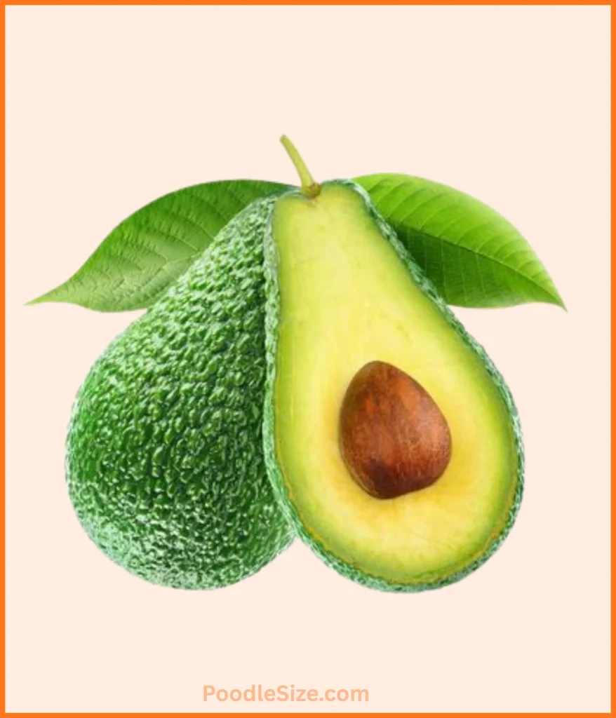 larag-avocado-300-grams