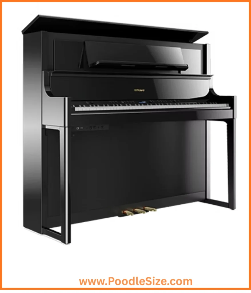 piano-100-kg