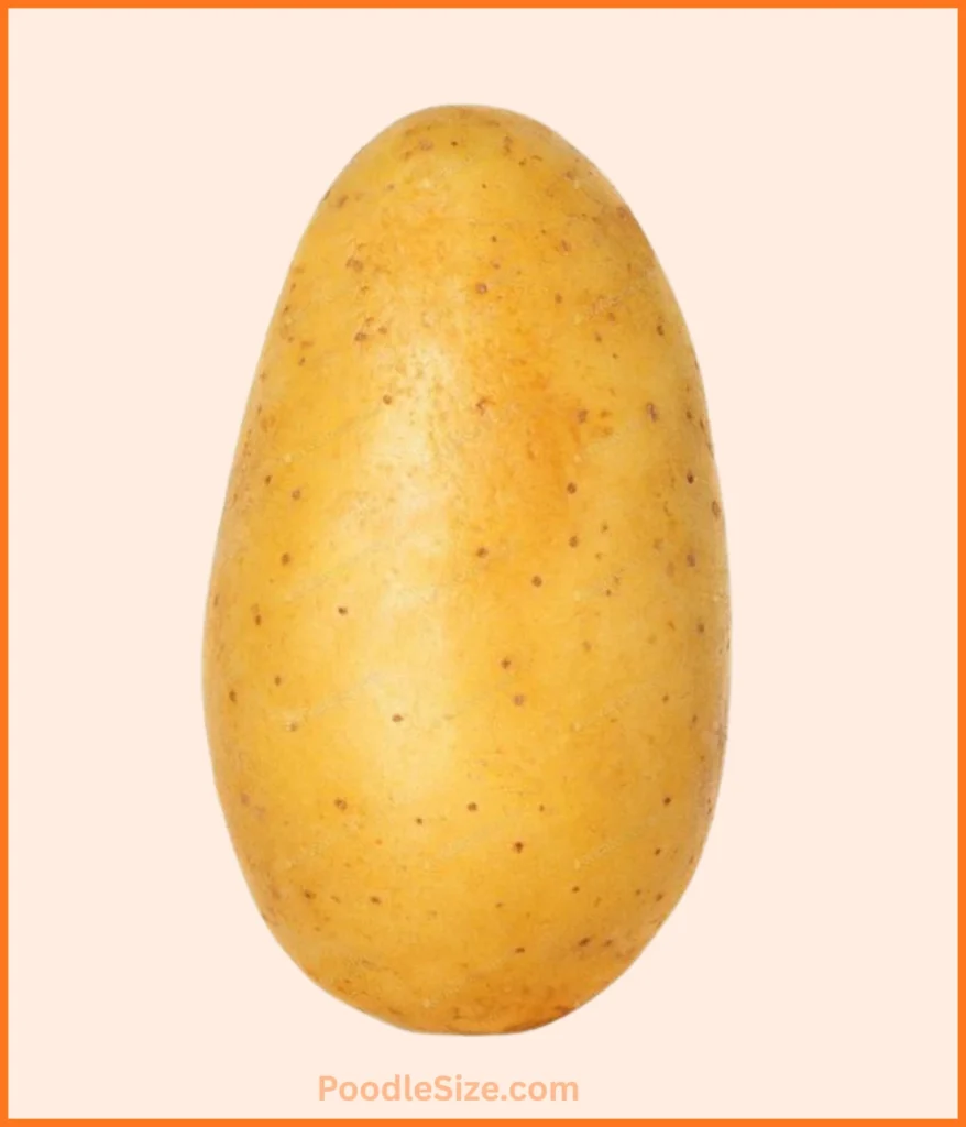 potato-300-grams