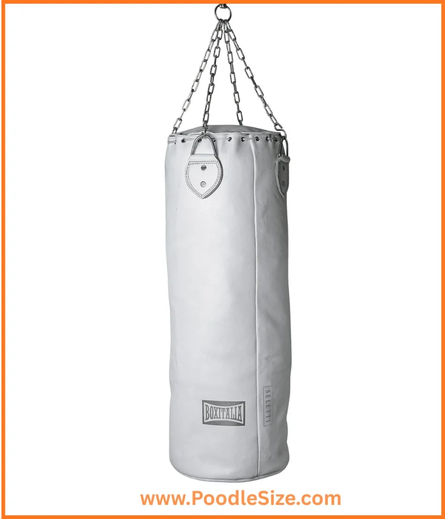 punching-bag-40-kg