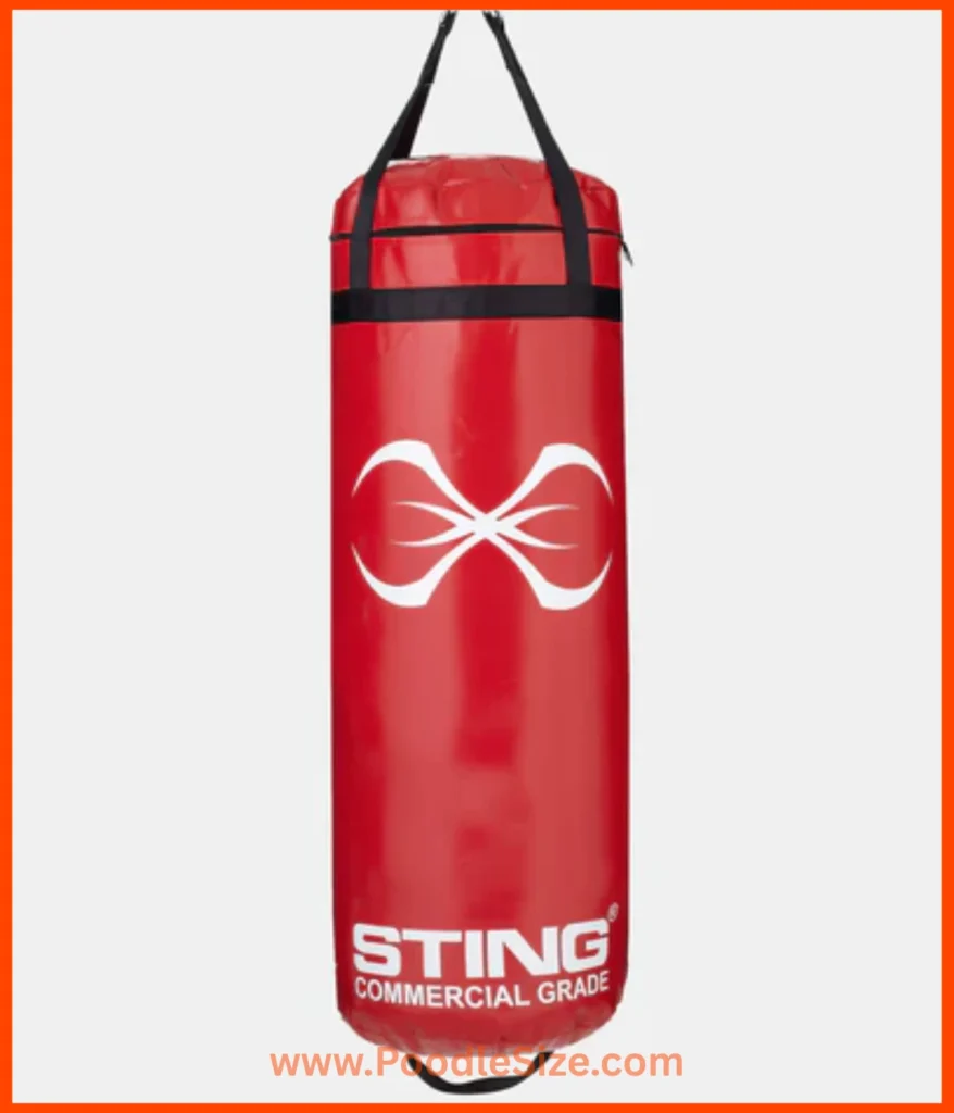 punching-bag-70-kg