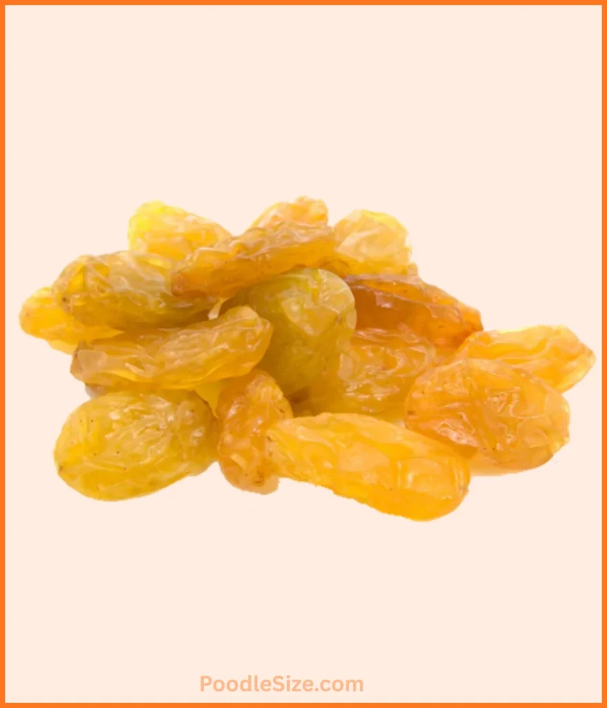 raisin-1-gram