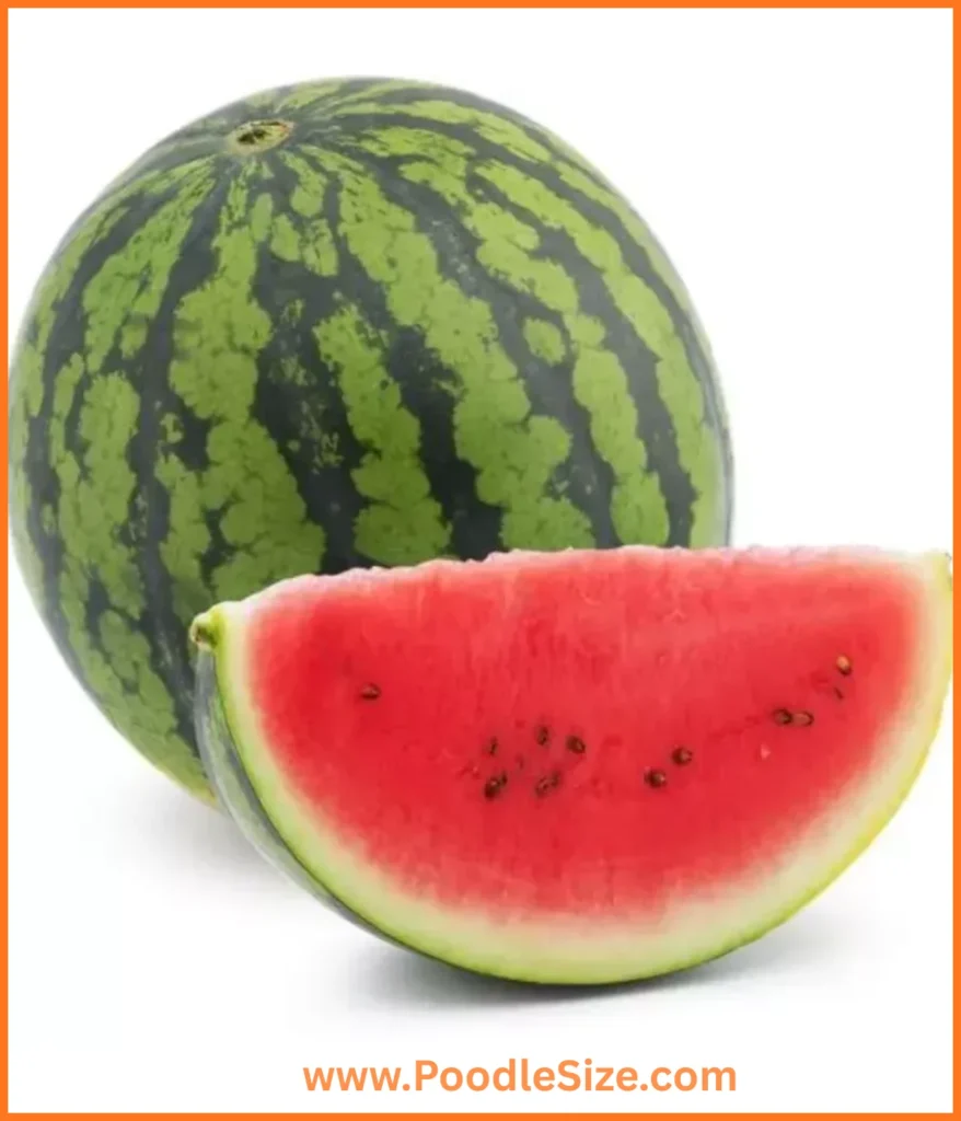 watermelon-10-kg