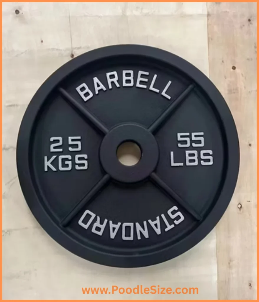 weight-plate-25-kg