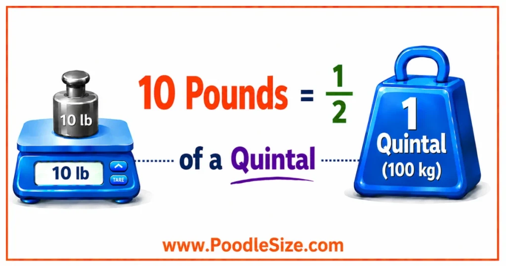 what-weigh-10-pounds