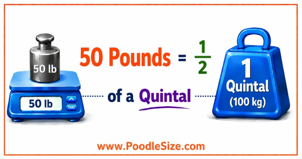 what-weigh-50-pounds