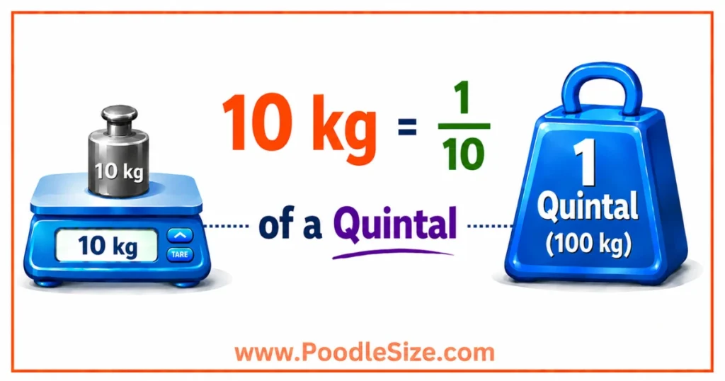 what-weigh-is-10-kg