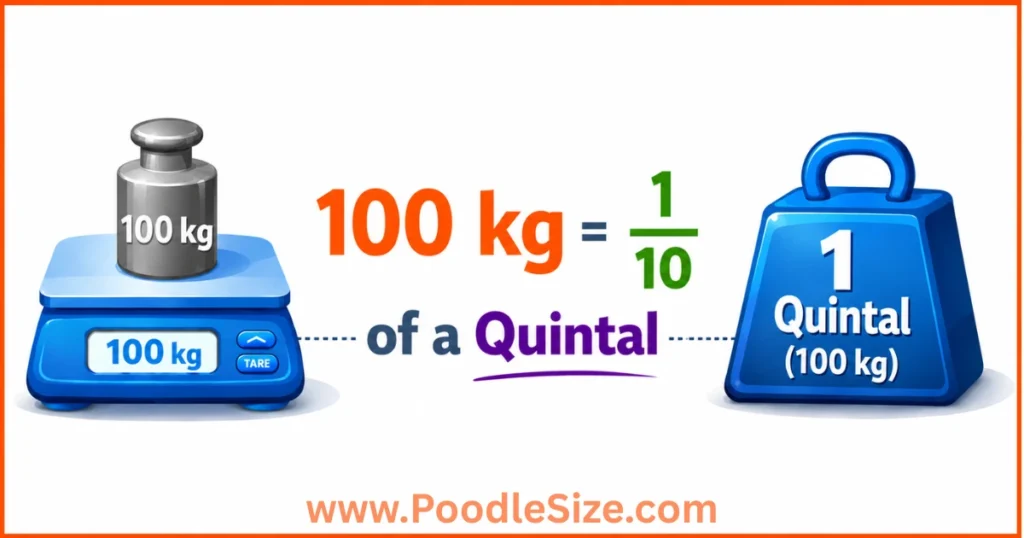 what-weigh-is-100-kg
