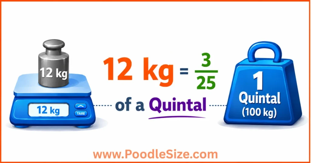 what-weigh-is-12-kg