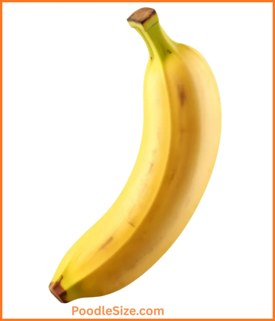 banana-8-inches