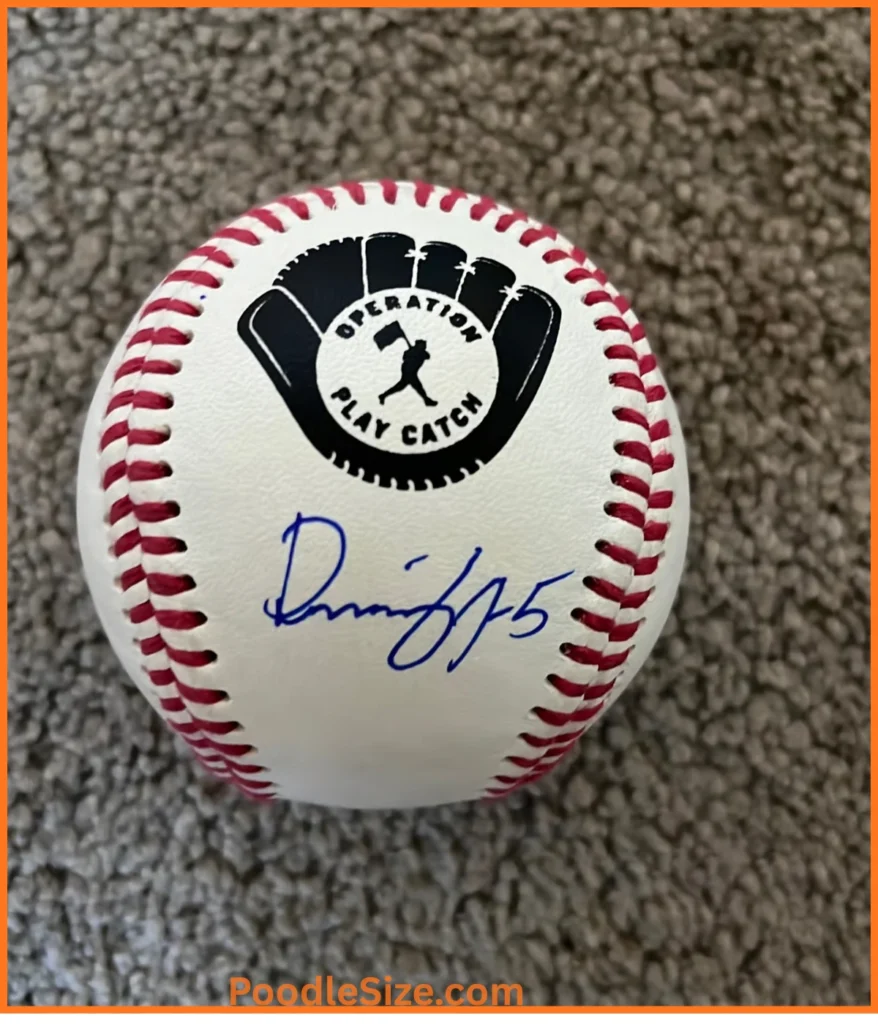 baseballs-10-ounces
