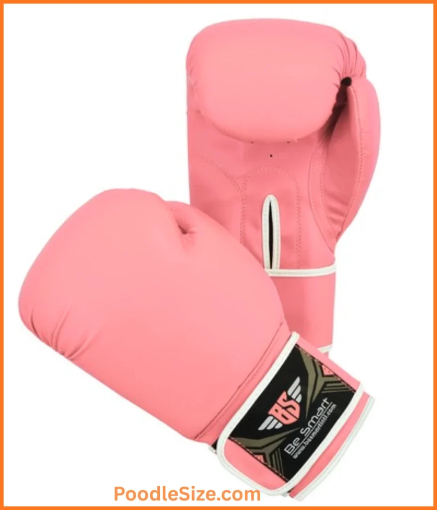 boxing-glove-10-ounces