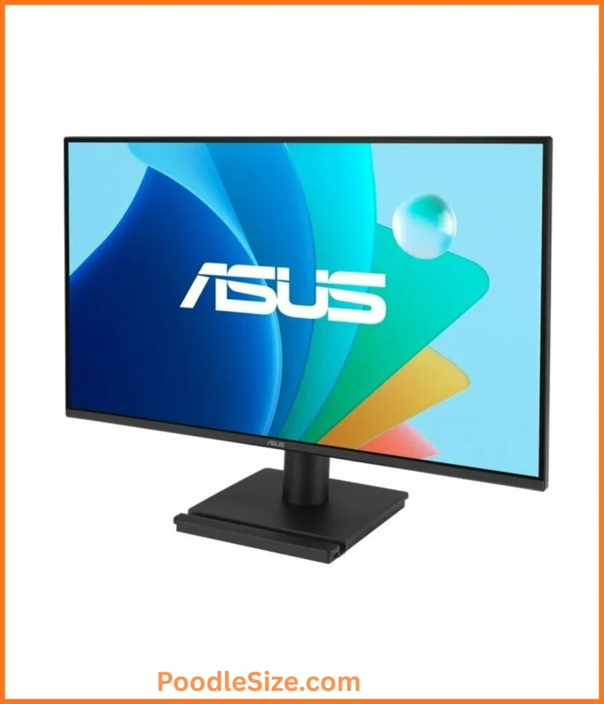 computer-monitor-20-inches