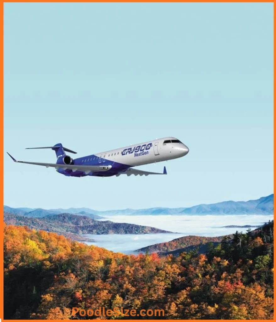 crj-900-jet-80-feet