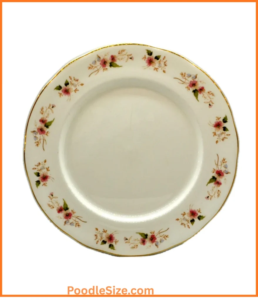 dinner-plate-10-inches