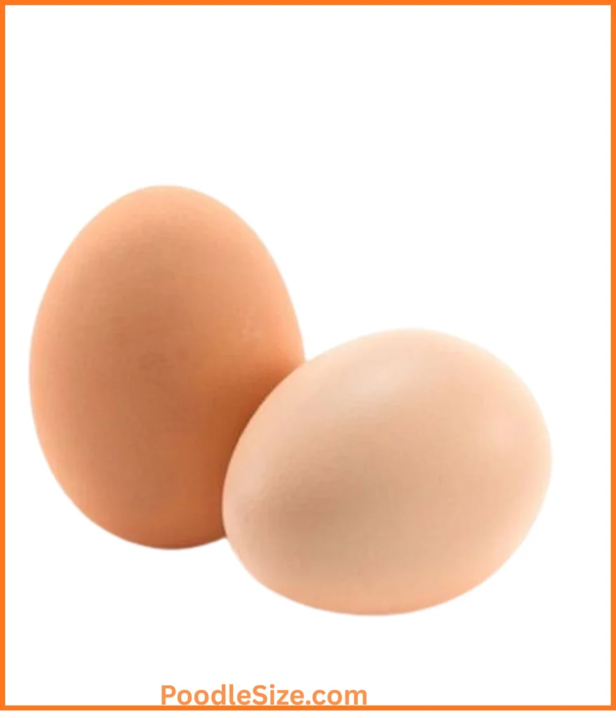 egg-2-ounces