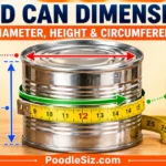 food-can-Dimension