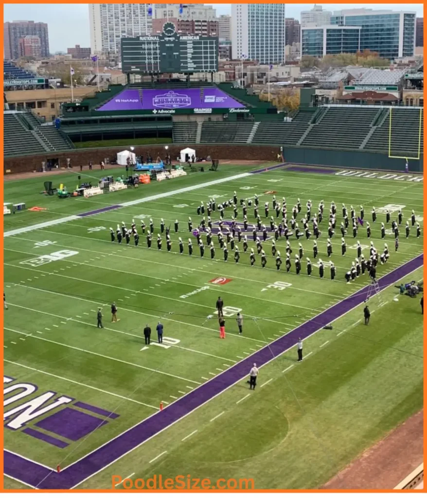 football-fields-100-feet