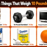 how-heavy-is-10-pounds