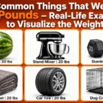 how-heavy-is-20-pounds