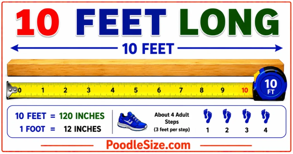 how-long-is-10-feet