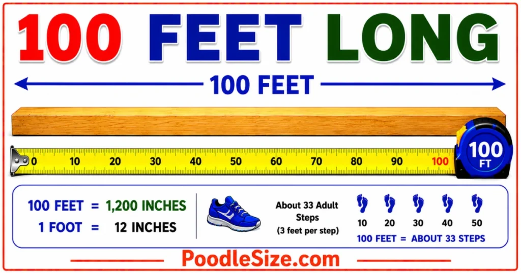 how-long-is-100-feet