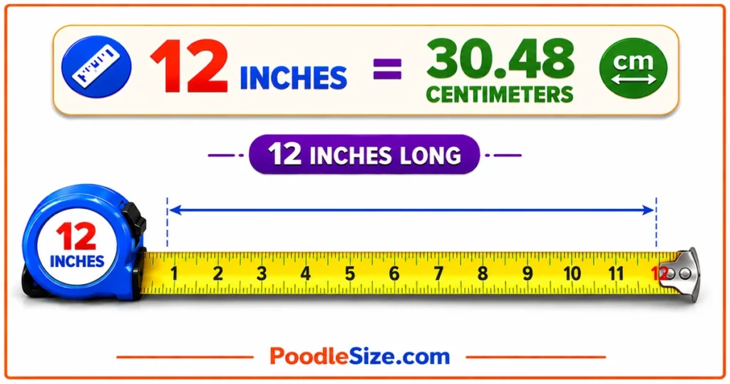 how-long-is-12-inches