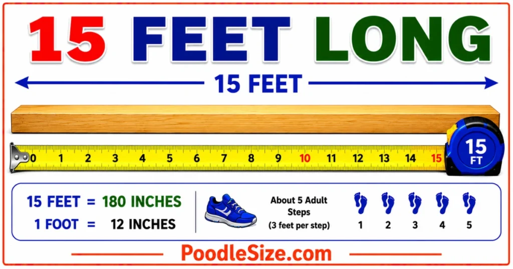 how-long-is-15-feet