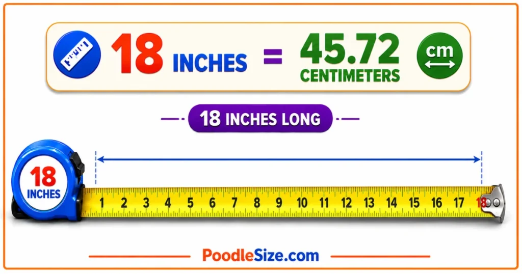 how-long-is-18-inches