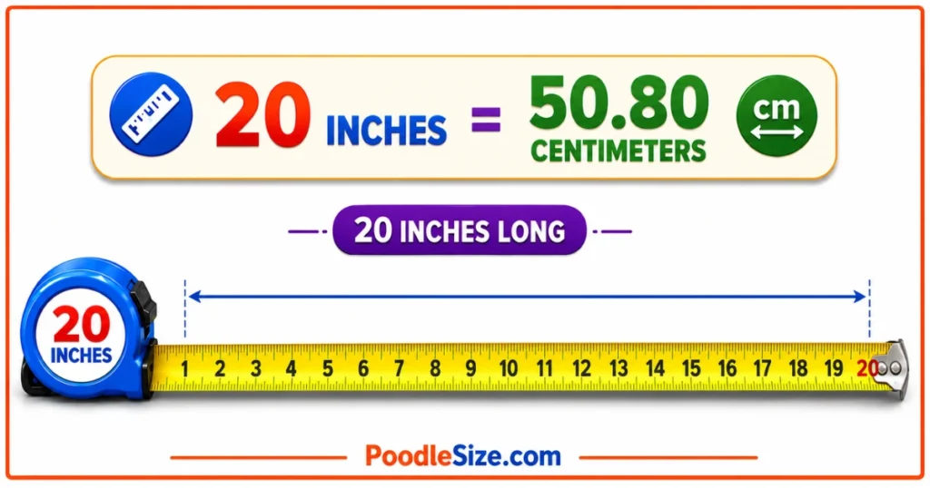 how-long-is-20-inches
