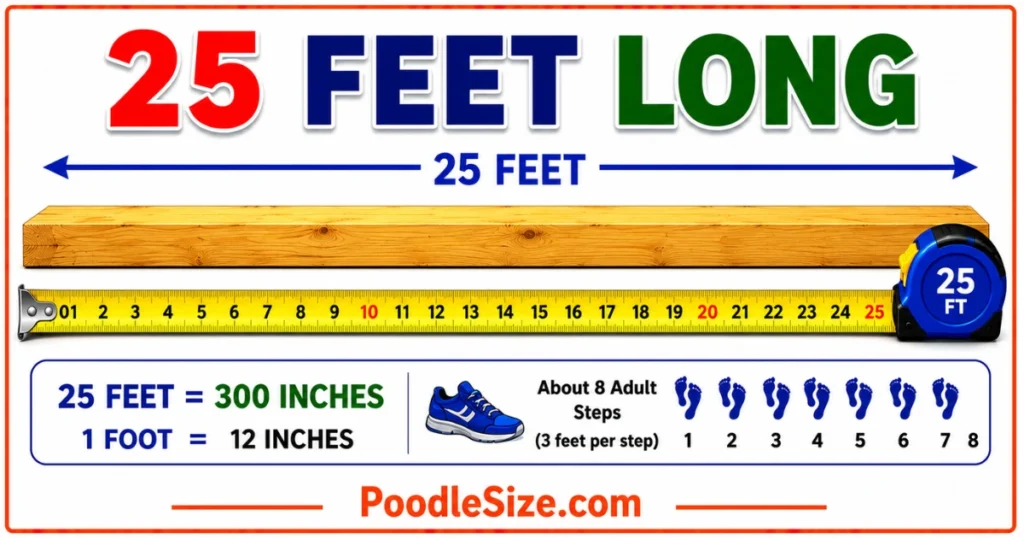 how-long-is-25-feet
