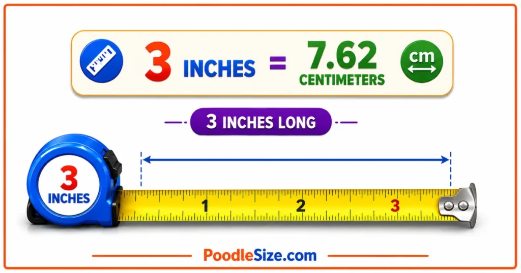 how-long-is-3-inches