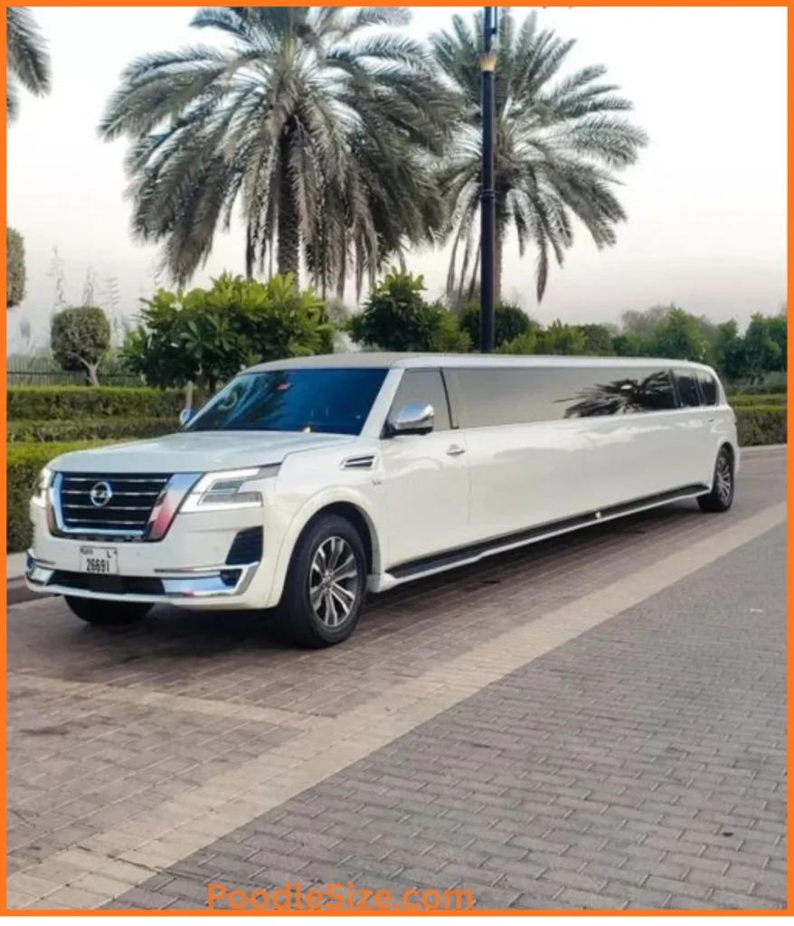 limousine-25-feet