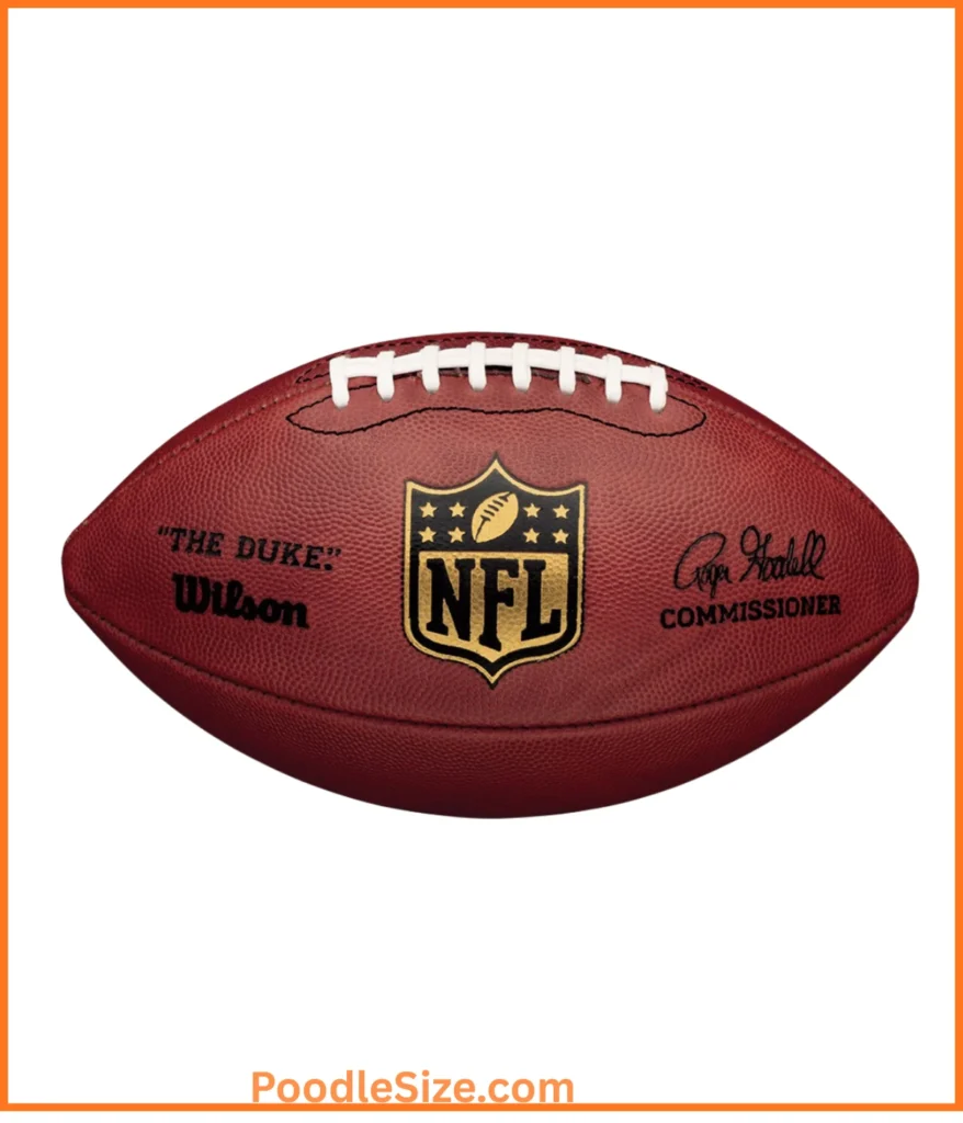 nfl-football-15-ounces